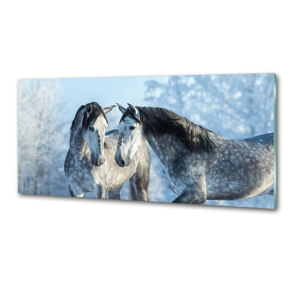 Kitchen splashback Gray horses in winter