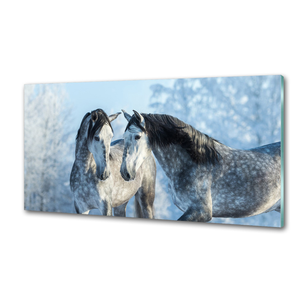 Kitchen splashback Gray horses in winter