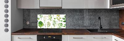 Kitchen splashback Herbs and weeds