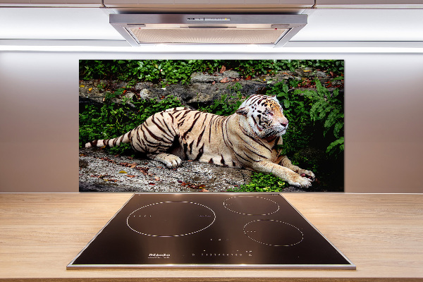 Kitchen splashback Tiger on the rock