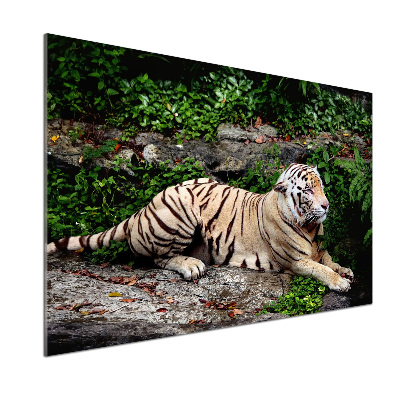 Kitchen splashback Tiger on the rock