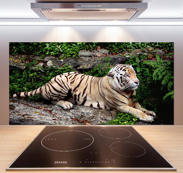 Kitchen splashback Tiger on the rock