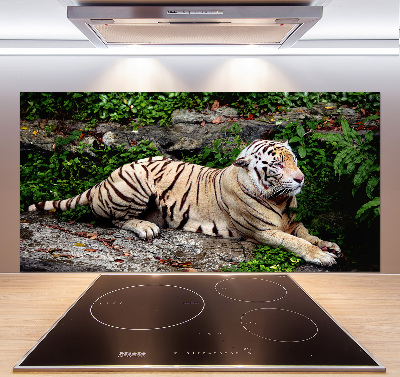 Kitchen splashback Tiger on the rock