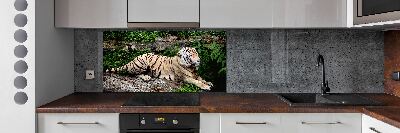 Kitchen splashback Tiger on the rock