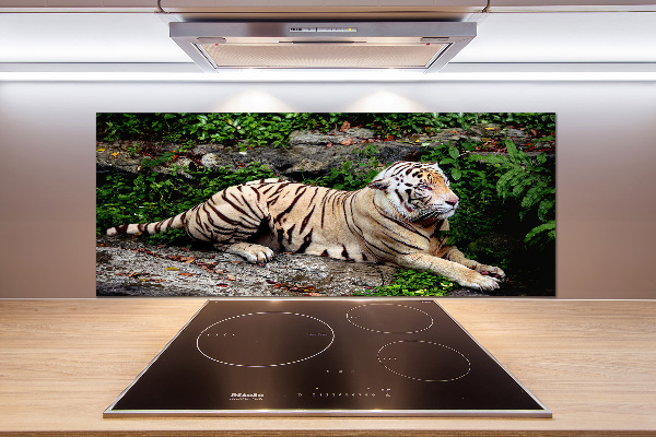 Kitchen splashback Tiger on the rock