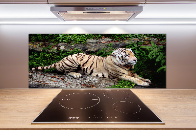 Kitchen splashback Tiger on the rock