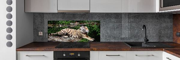 Kitchen splashback Tiger on the rock