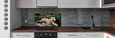 Kitchen splashback Tiger on the rock