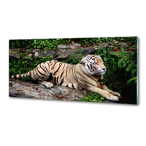 Kitchen splashback Tiger on the rock