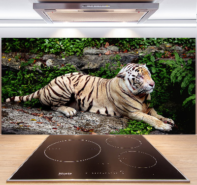 Kitchen splashback Tiger on the rock