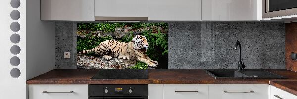 Kitchen splashback Tiger on the rock