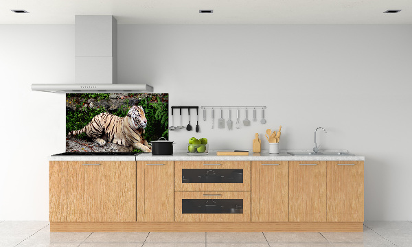 Kitchen splashback Tiger on the rock