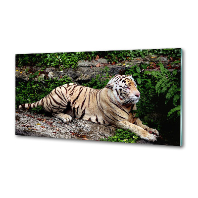 Kitchen splashback Tiger on the rock