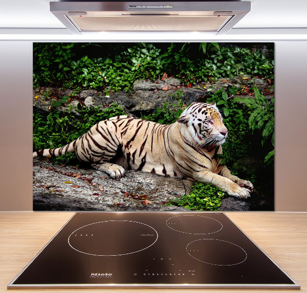 Kitchen splashback Tiger on the rock