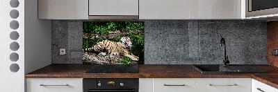 Kitchen splashback Tiger on the rock