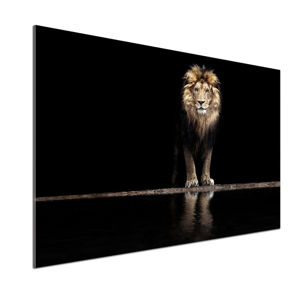 Kitchen wall panels Portrait of a lion