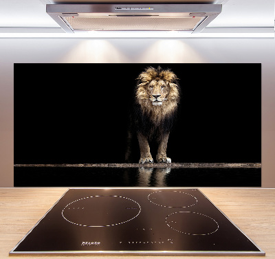 Kitchen wall panels Portrait of a lion