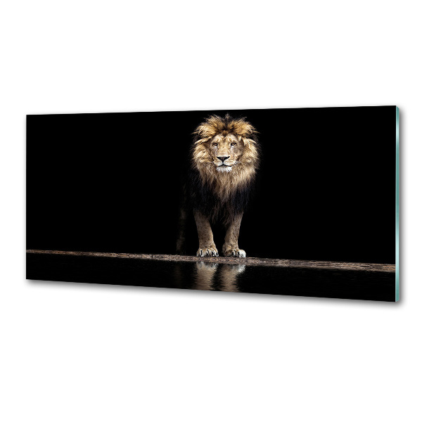 Kitchen wall panels Portrait of a lion