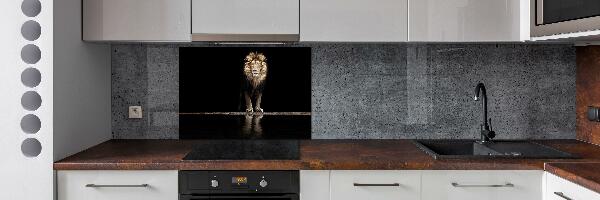 Kitchen wall panels Portrait of a lion