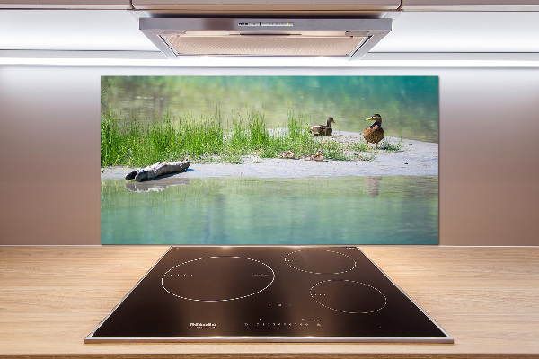 Kitchen wall panels Ducks by the water