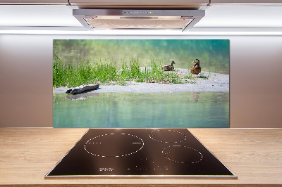 Kitchen wall panels Ducks by the water