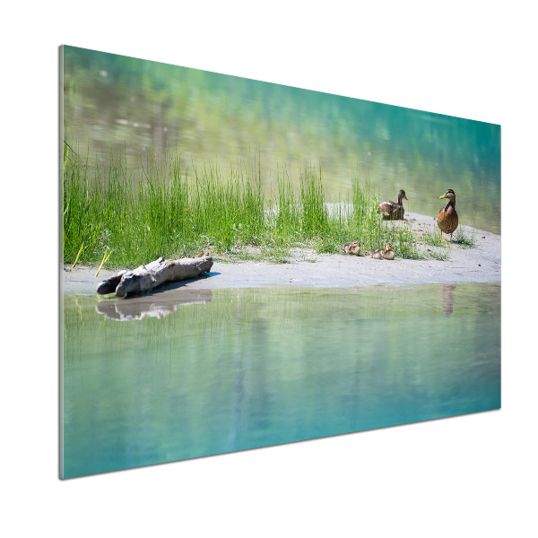 Kitchen wall panels Ducks by the water