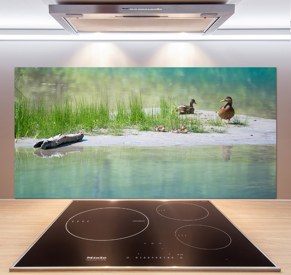 Kitchen wall panels Ducks by the water