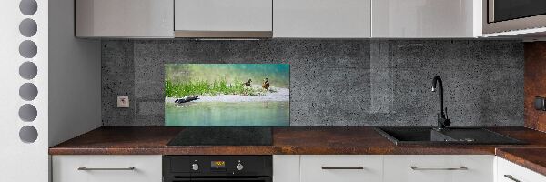 Kitchen wall panels Ducks by the water