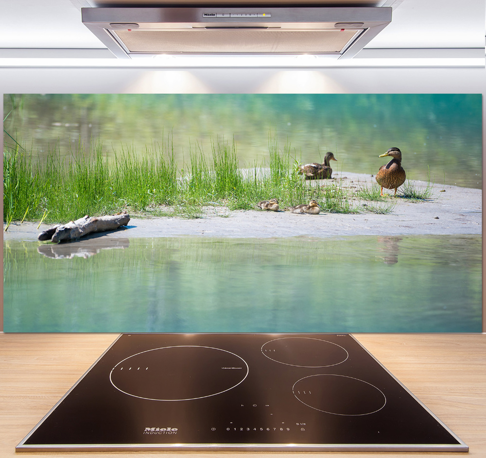 Kitchen wall panels Ducks by the water