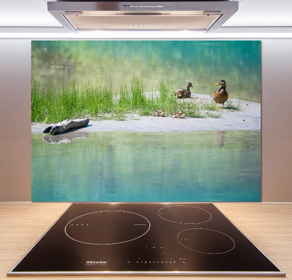 Kitchen wall panels Ducks by the water