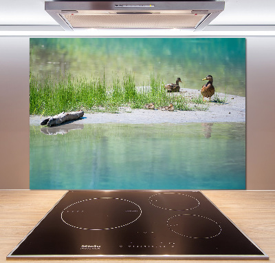 Kitchen wall panels Ducks by the water