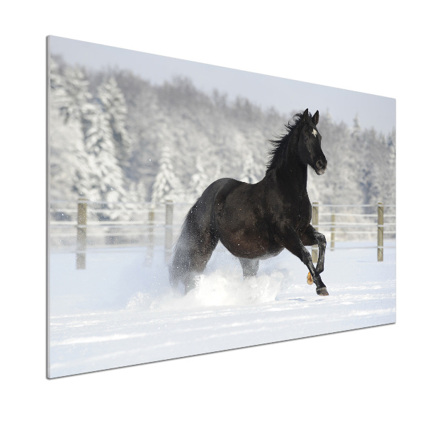 Glass splashback Snow horse at the gallop