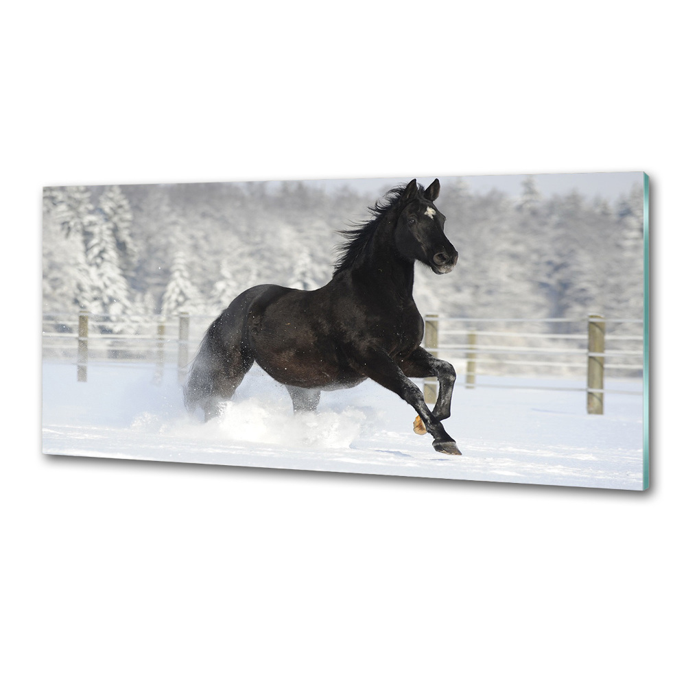 Glass splashback Snow horse at the gallop