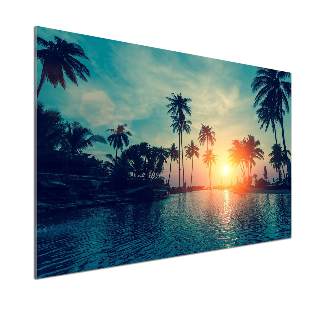 Glass splashback Sunset palm trees