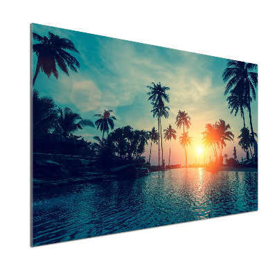 Glass splashback Sunset palm trees