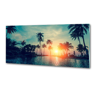 Glass splashback Sunset palm trees