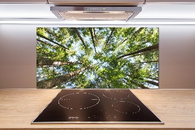 Glass splashback Crown of trees