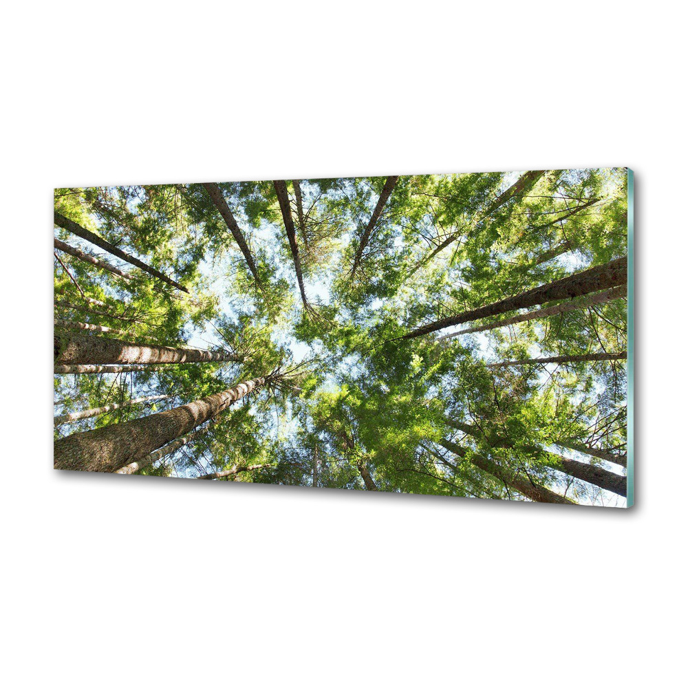 Glass splashback Crown of trees