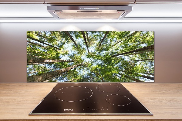 Glass splashback Crown of trees