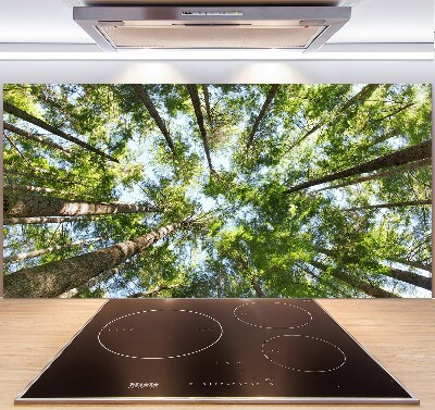 Glass splashback Crown of trees