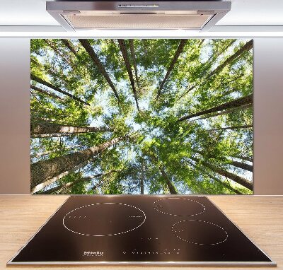 Glass splashback Crown of trees