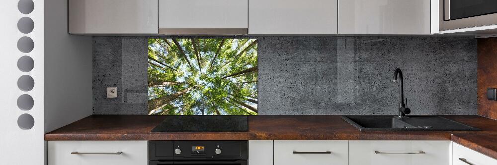 Glass splashback Crown of trees