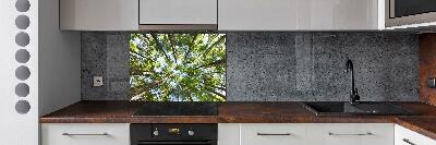 Glass splashback Crown of trees