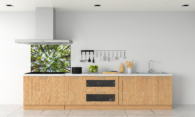 Glass splashback Crown of trees