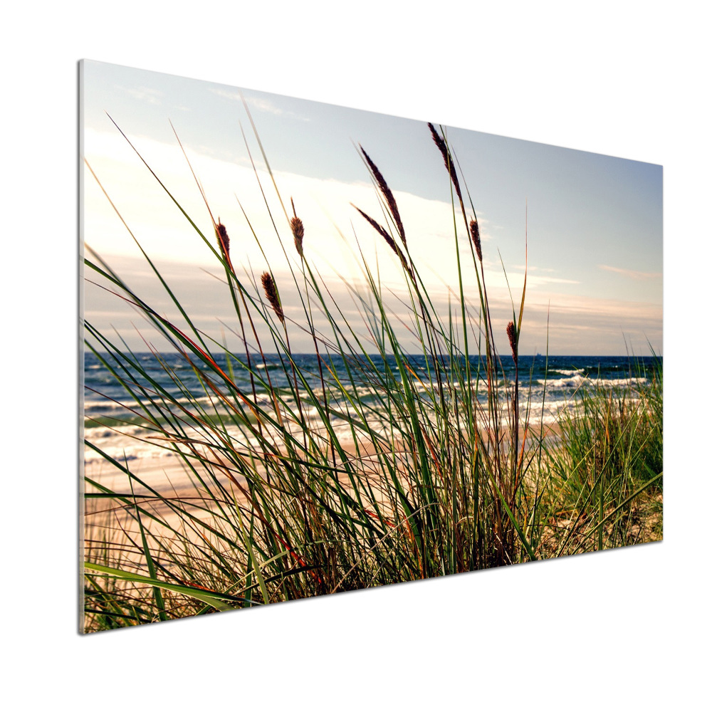 Kitchen splashback Coastal dunes