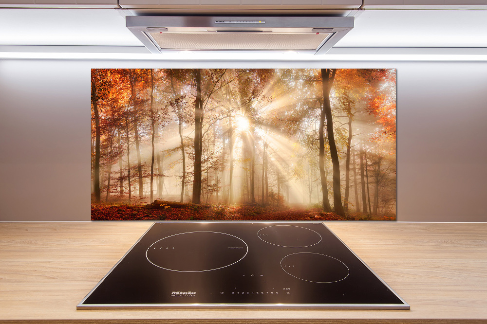 Kitchen splashback Fog in the Forest Autumn