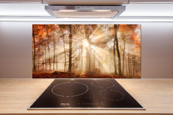 Kitchen splashback Fog in the Forest Autumn