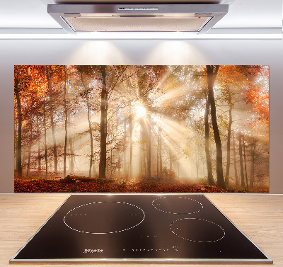 Kitchen splashback Fog in the Forest Autumn