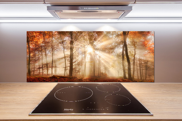 Kitchen splashback Fog in the Forest Autumn