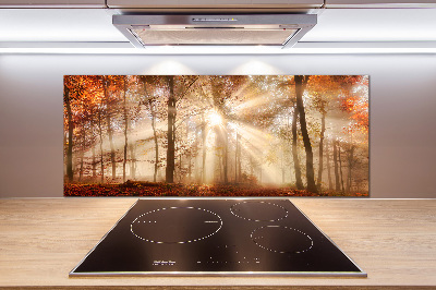 Kitchen splashback Fog in the Forest Autumn